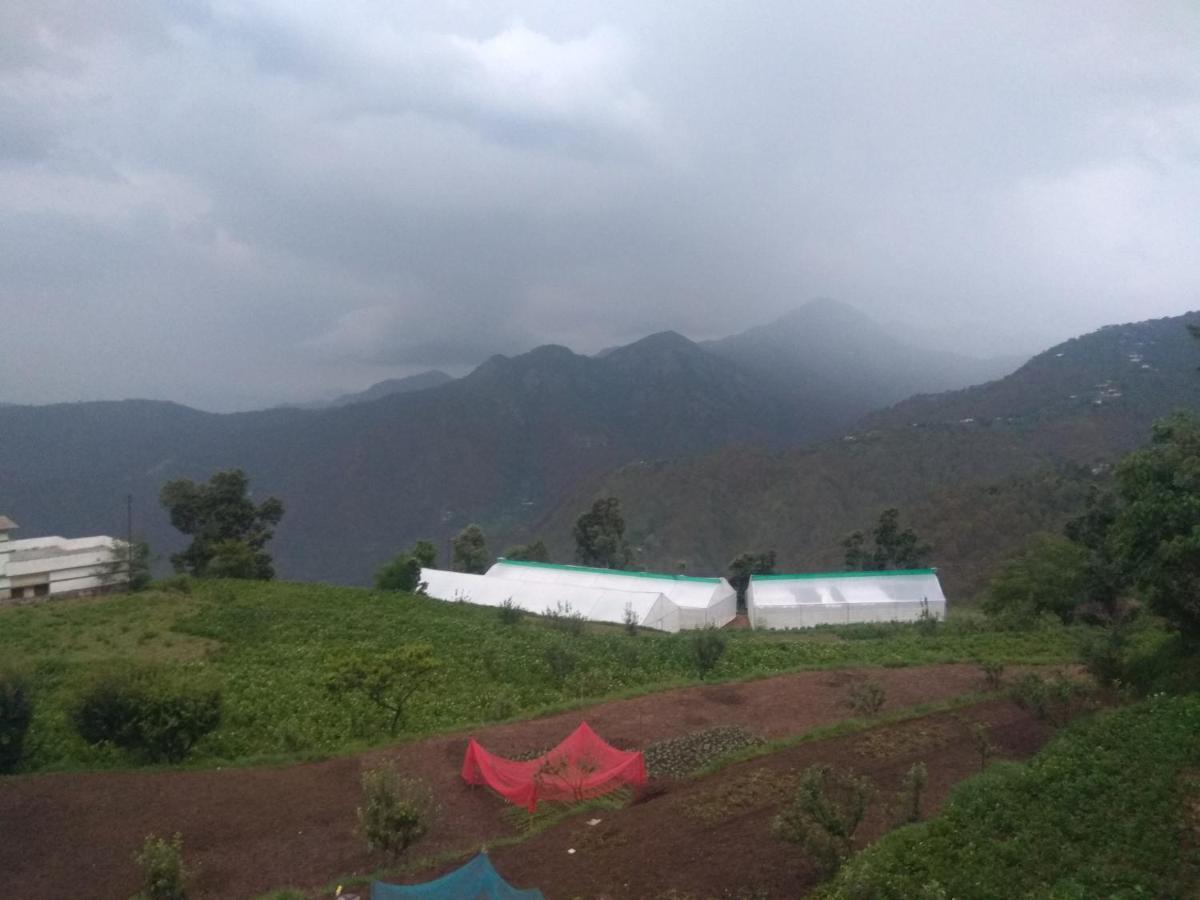 Green View Resort New Tehri Exterior foto